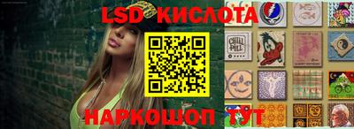 дмт Будённовск