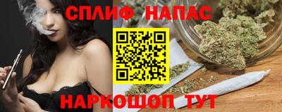 дмт Будённовск
