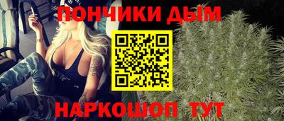 дмт Будённовск