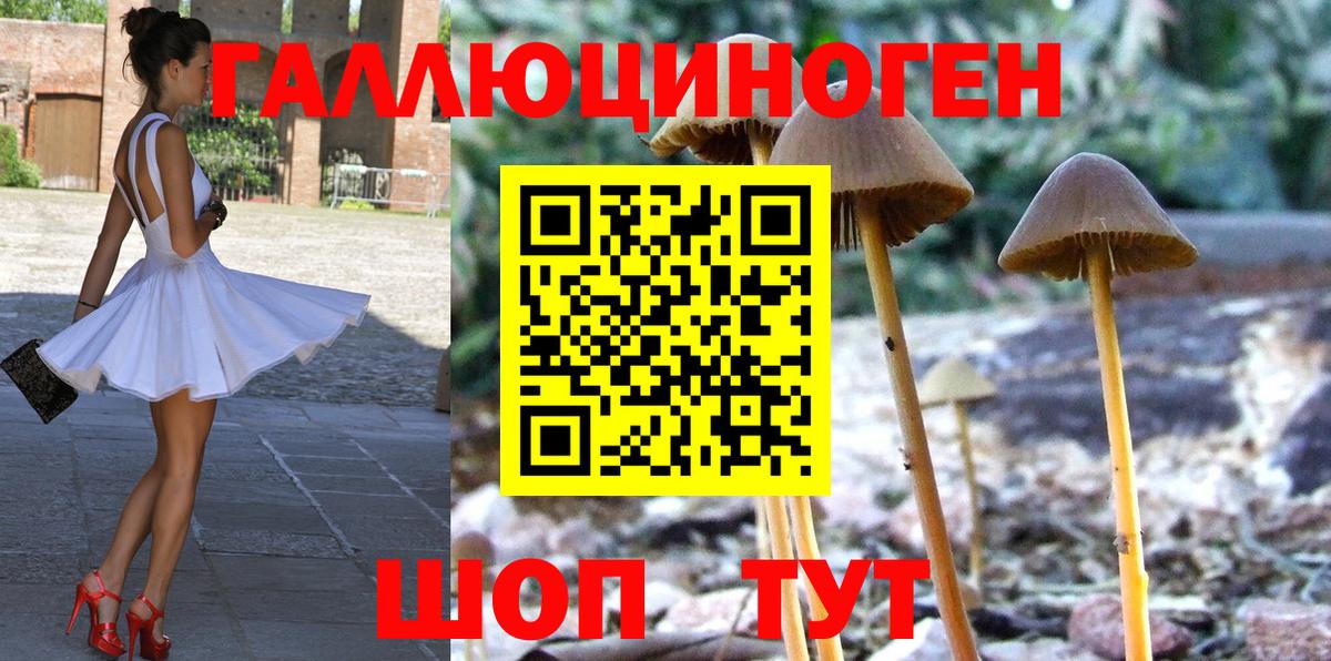 даркнет сайт  Псилоцибиновые грибы мухоморы  Вход с VPN  Саратов 