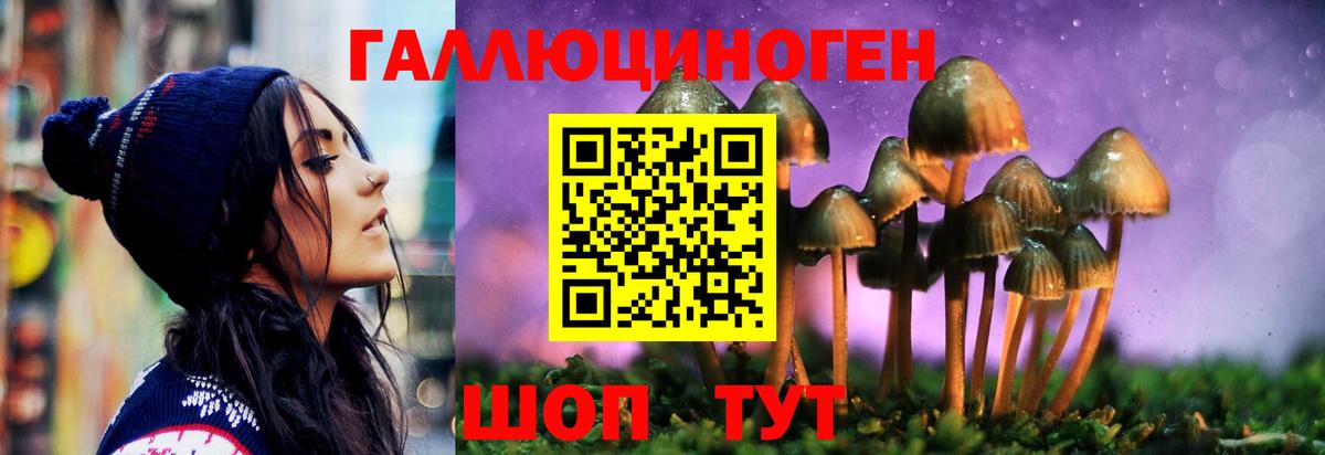 Галлюциногенные грибы мицелий Саратов
